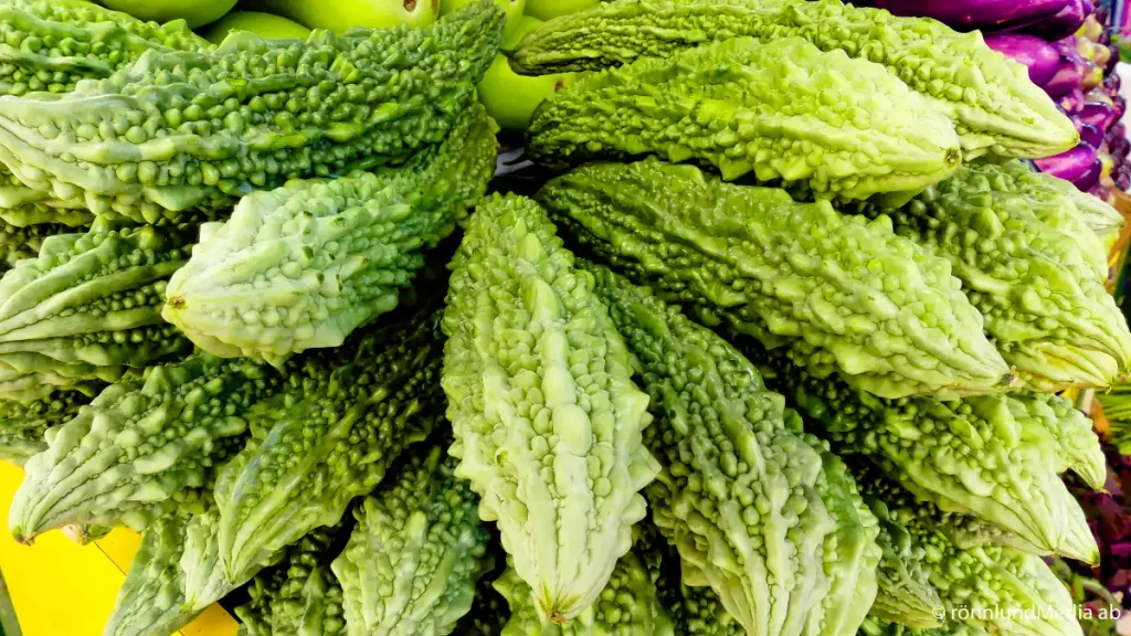 BITTERMELON, BITTERGURKA, KARELA, DEN HÄR ASIATISKA GODINGEN HAR MÅNGA NAMN