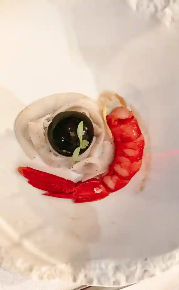 STRIMLAD BLÄCKFISK, EN BLÅSA BLÄCKFISKBLÄCK OCH EN RÄKA