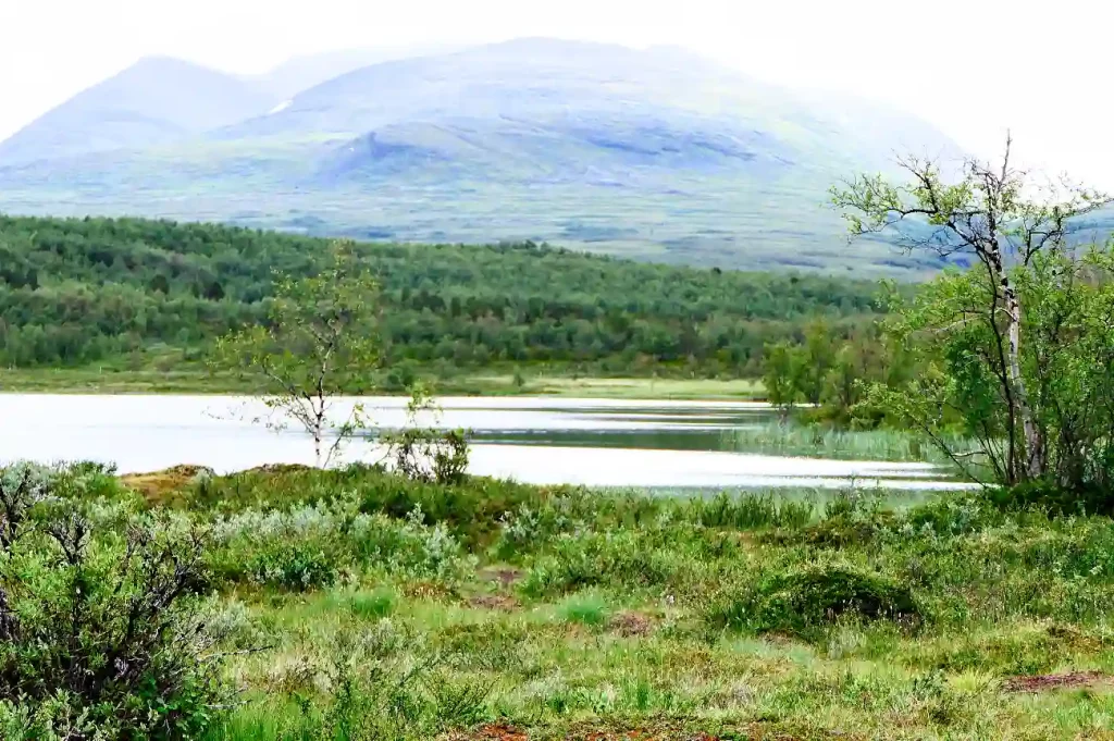 MED FJÄLLSJÖAR...