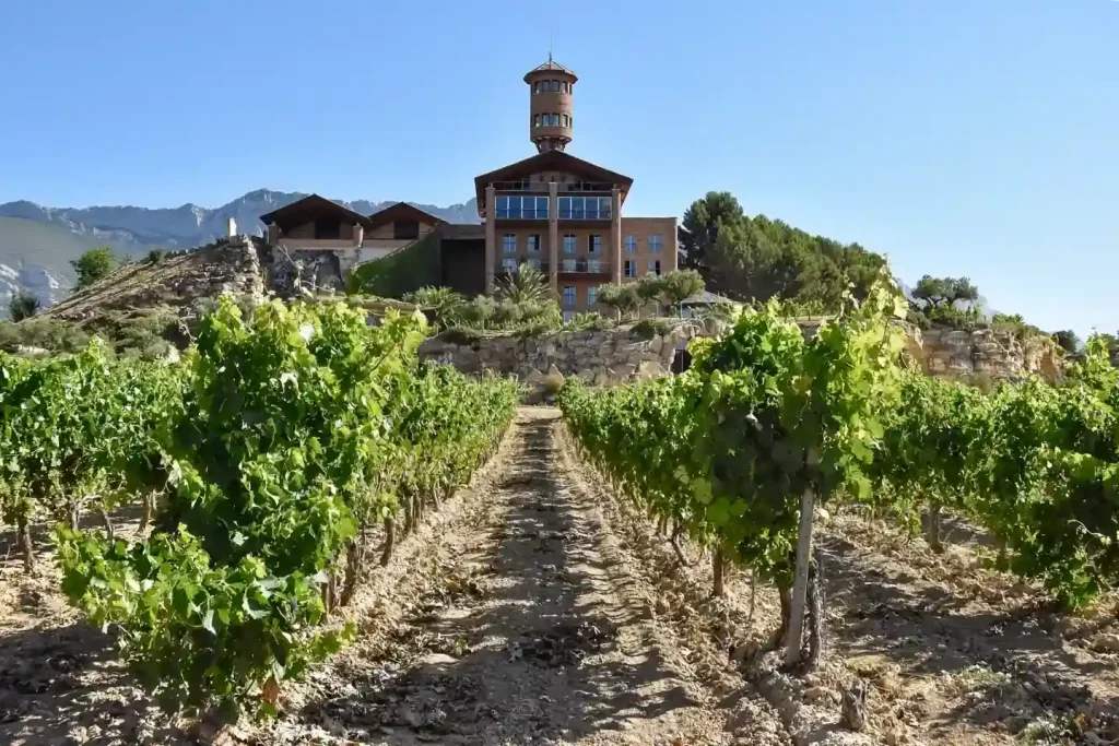 BODEGA EGUREN UGARTE