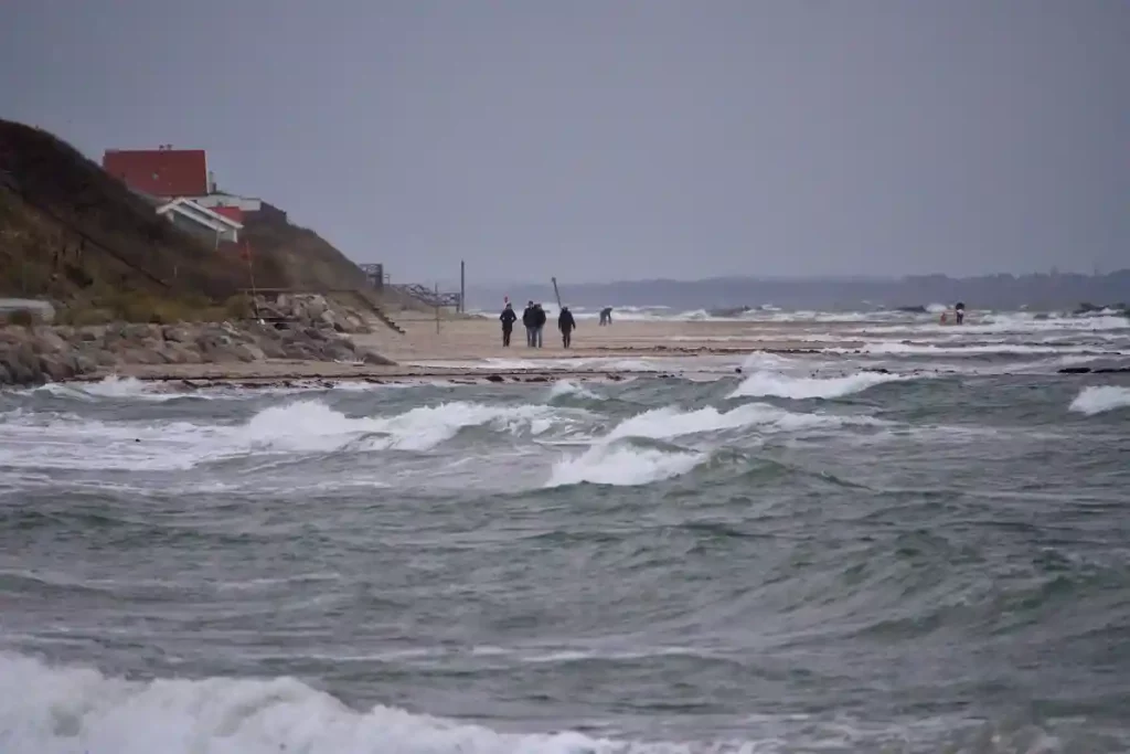 OBLIGATORISK PROMENAD PÅ STRANDEN