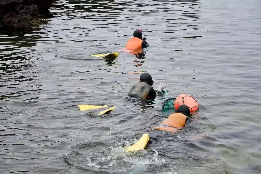 OKEJ, DÅ STICKER VI!