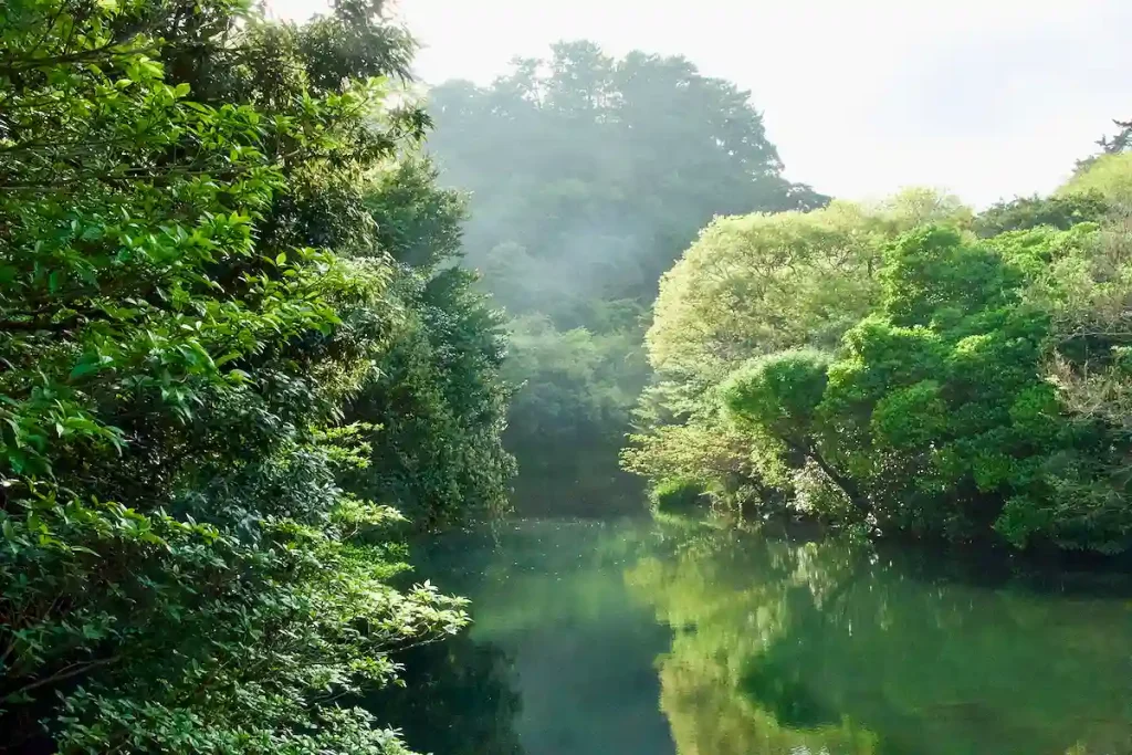 SOM FORTSÄTTER I EN VACKER Å GENOM PARKEN.