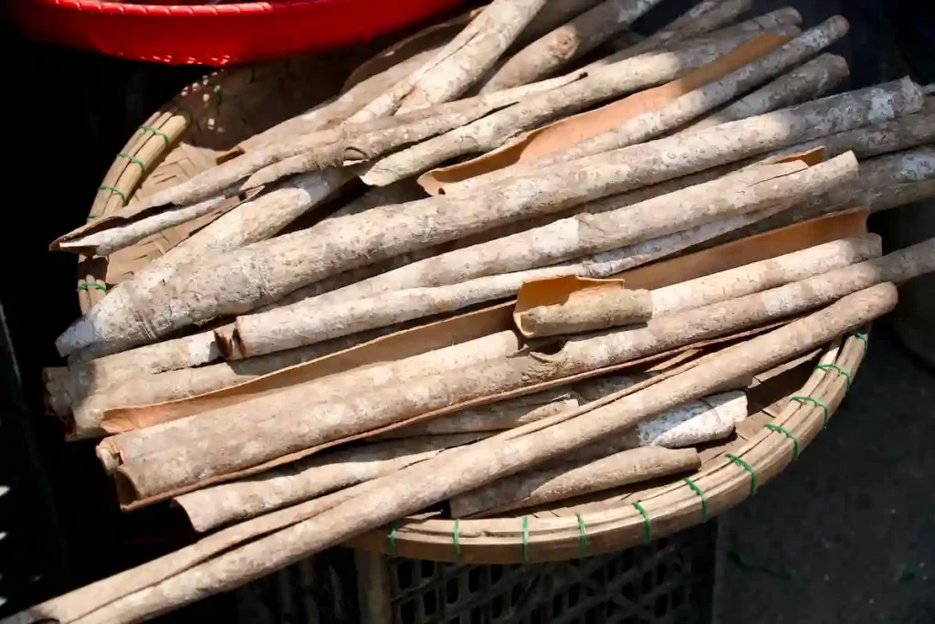 KANEL I JÄTTEFORMAT.