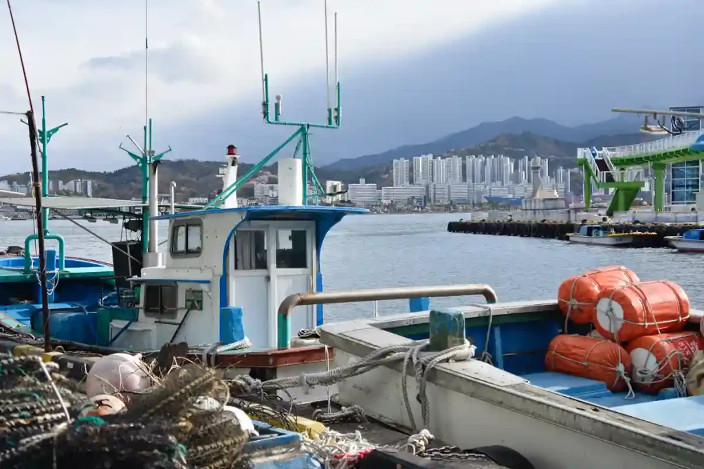 SOKCHO UR FISKARENS SYNVINKEL.