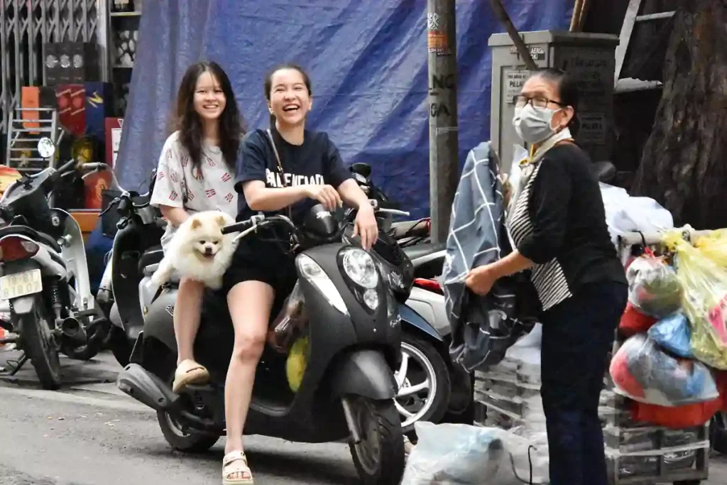 ÄVEN HUNDAR TRANSPORTERAS PÅ MOTORCYKEL.