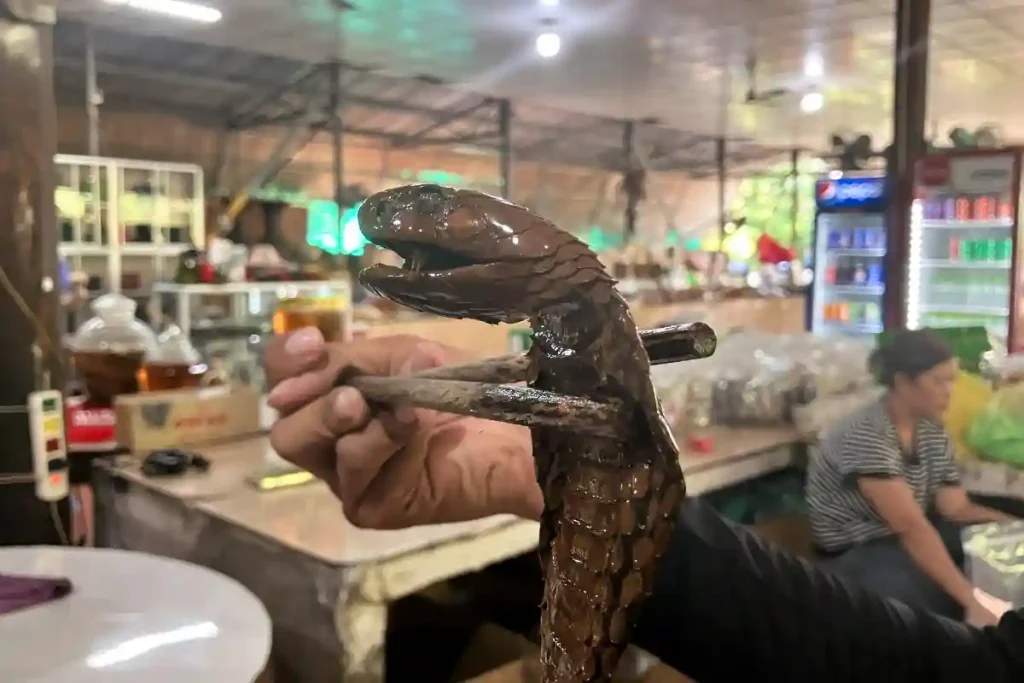 SÅ HÄR SER ORMEN UT EFTER EN TIDS LAGRING.