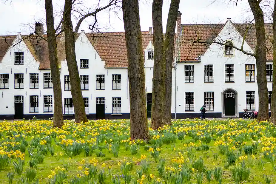 HAV AV PÅSKLILJOR VID ETT FD KLOSTER