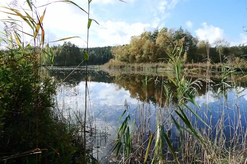 VACKRA OMGIVNINGAR MED SJÖAR...