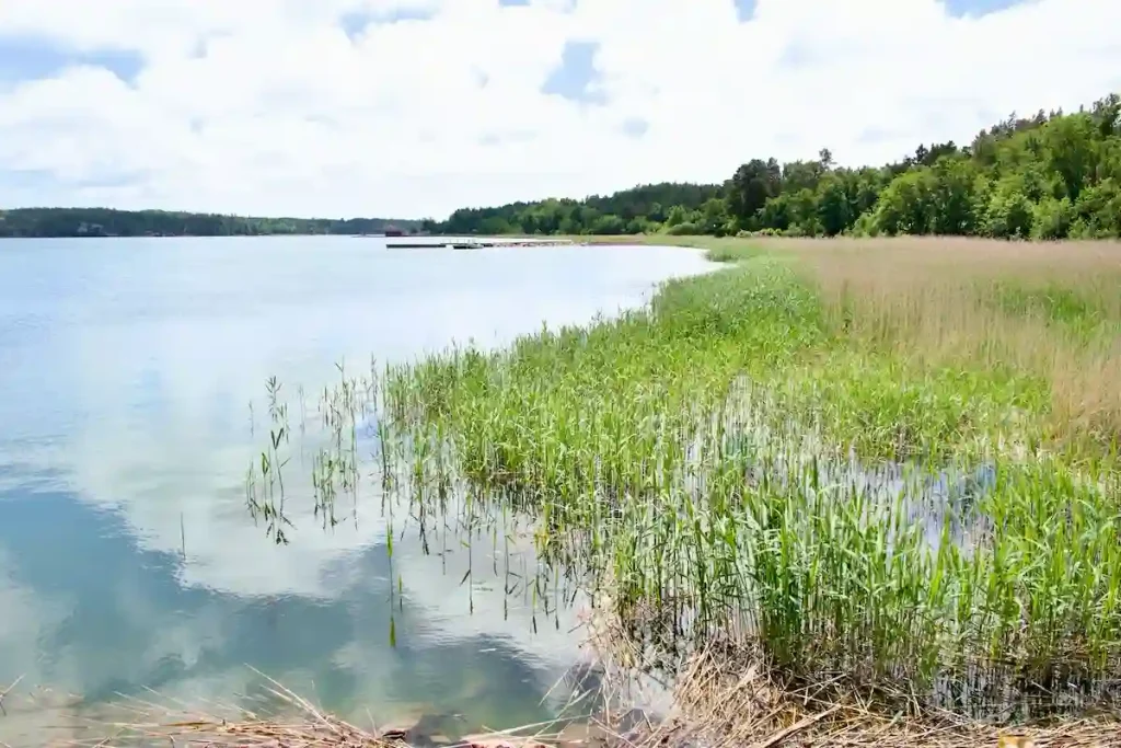 STRAND VID ÖRA.
