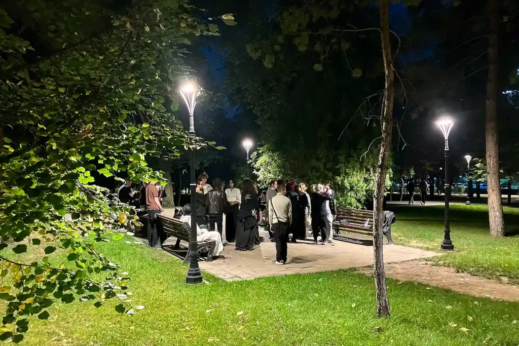 parknatt